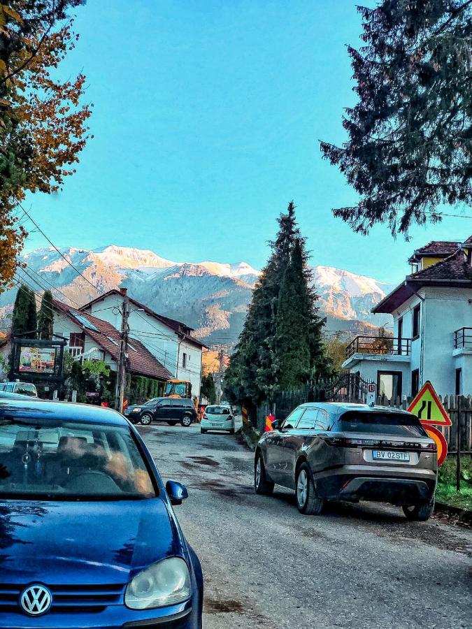 Transylvania Mountain View Cdi Бран Екстер'єр фото