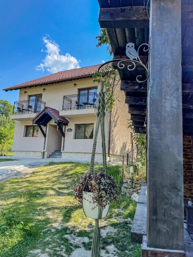 Transylvania Mountain View Cdi Бран Екстер'єр фото